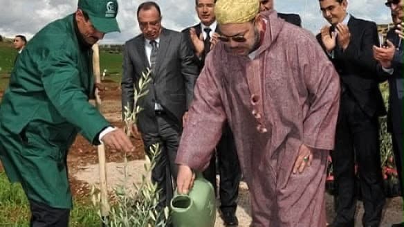 فاو المغرب: الفلاحة حققت نقلة بفضل الملك