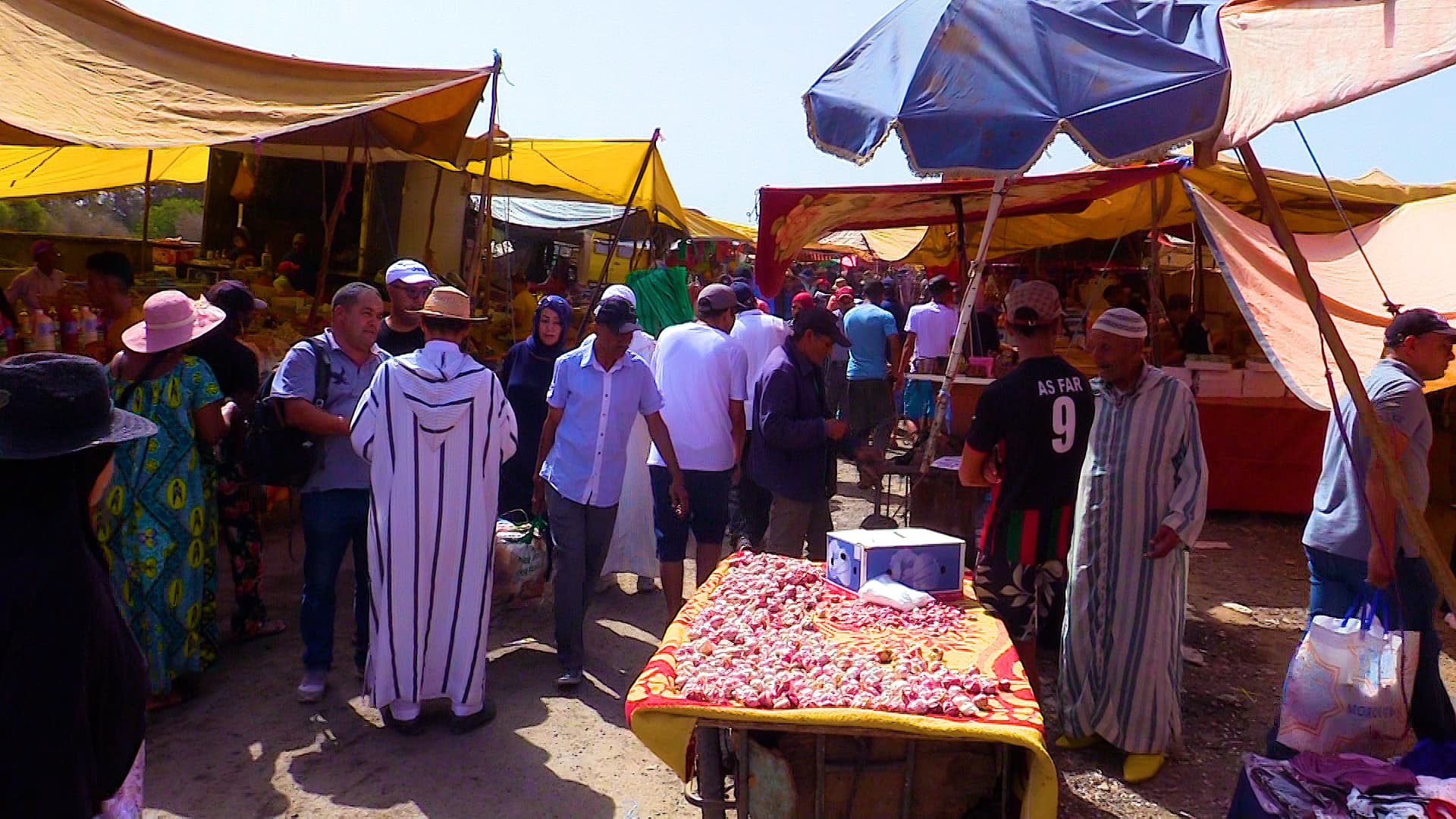 Vegetable and Fruit Prices Drop in Weekly Markets Near Rabat Amid Increased Commercial Activity