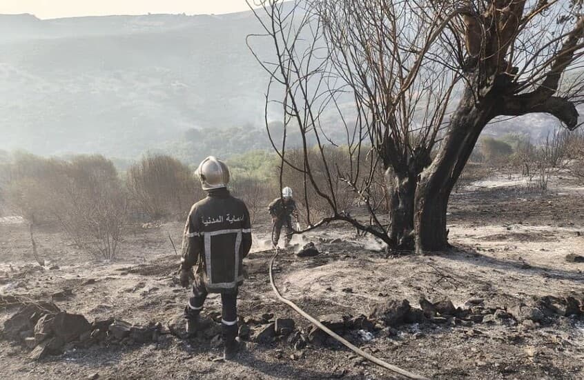 127 Fires Break Out in Algeria Over Past 24 Hours