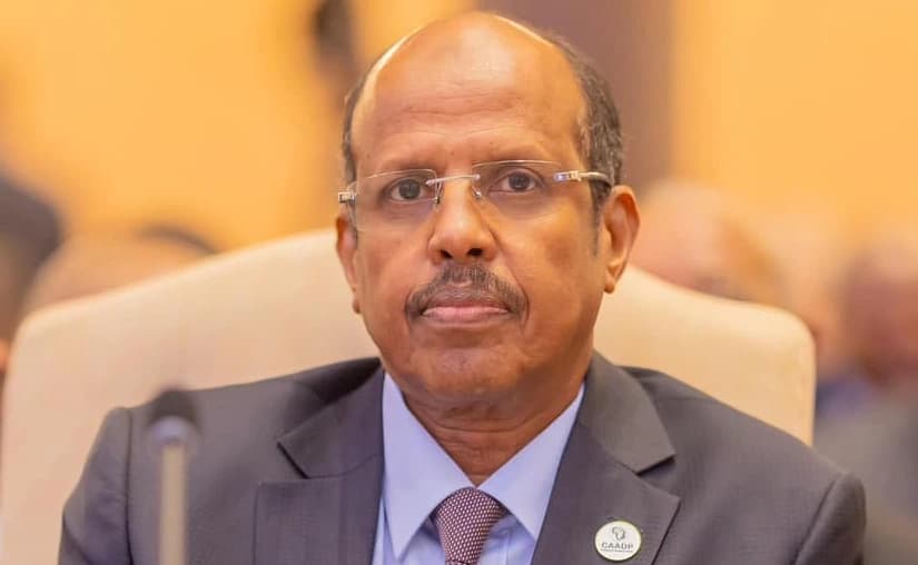 AU Chair Commends Morocco's African Efforts
