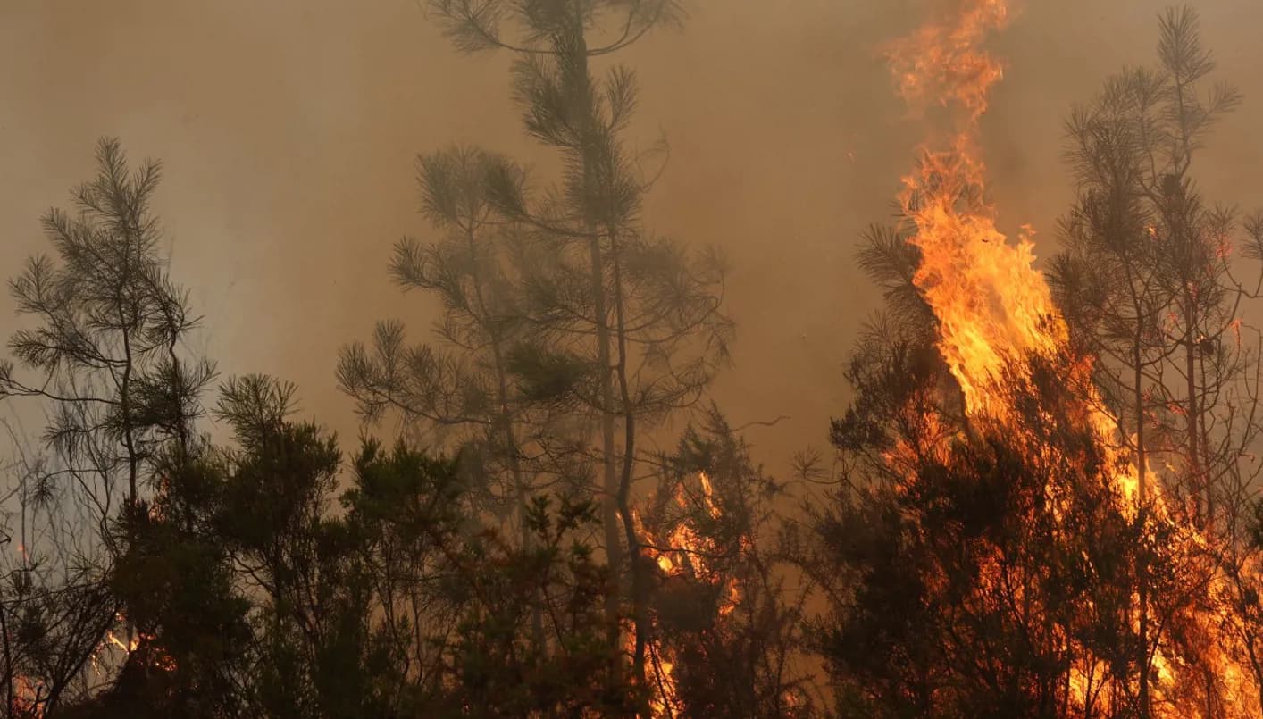 France tries to control wildfires near Bordeaux