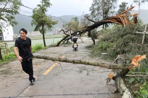 Super Typhoon Hae-Fu Hits Eastern China and Weakens to Severe Tropical Storm