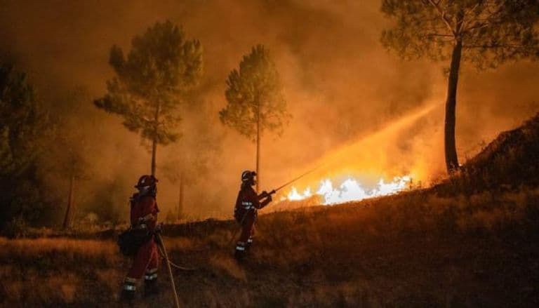 حريق غابوي يلتهم 2000 هكتار في غوادالاخارا، إسبانيا، ويجبر على إجلاء 260 شخصا