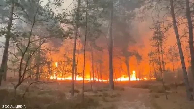 Fires Consume Fontainebleau Forest as Unprecedented Blaze Engulfs Southern Paris