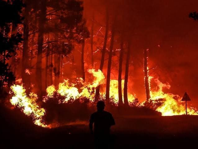 France detains 32 suspects for forest fires since summer start