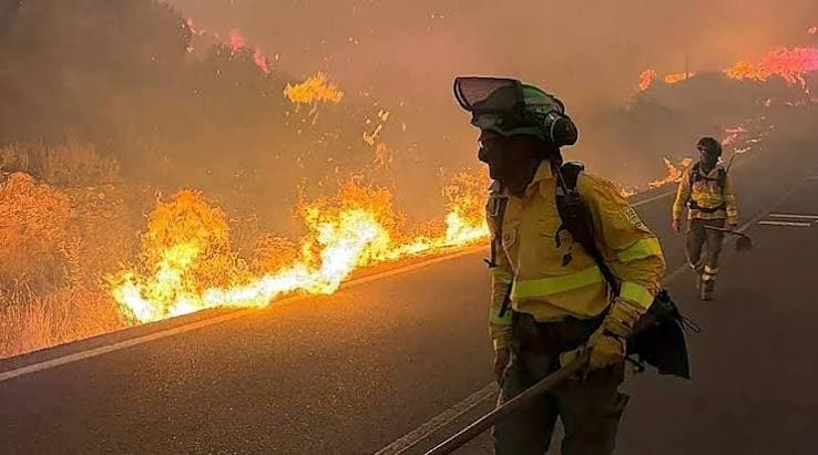 Andalusian Fires Continue to Claim Lives, Death Toll Rises to 13