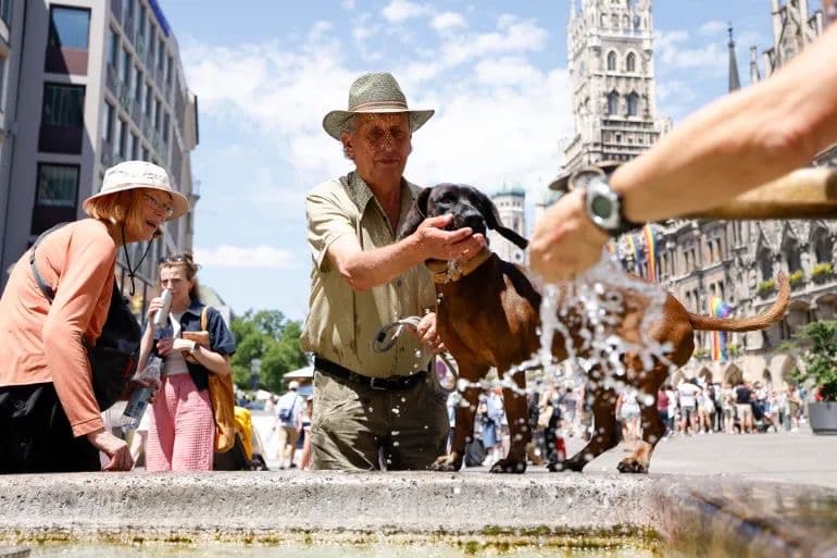 Germany heatwave claims over 15,000 lives