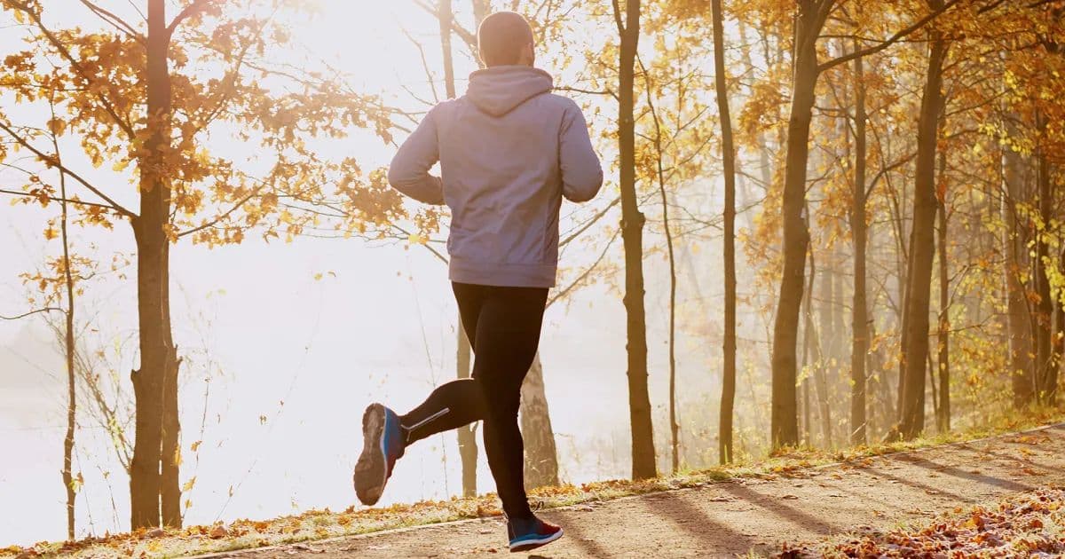Exercise boosts memory as an alternative to napping