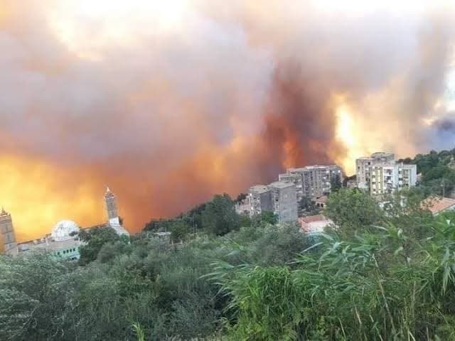 Algeria faces multiple mysterious fires