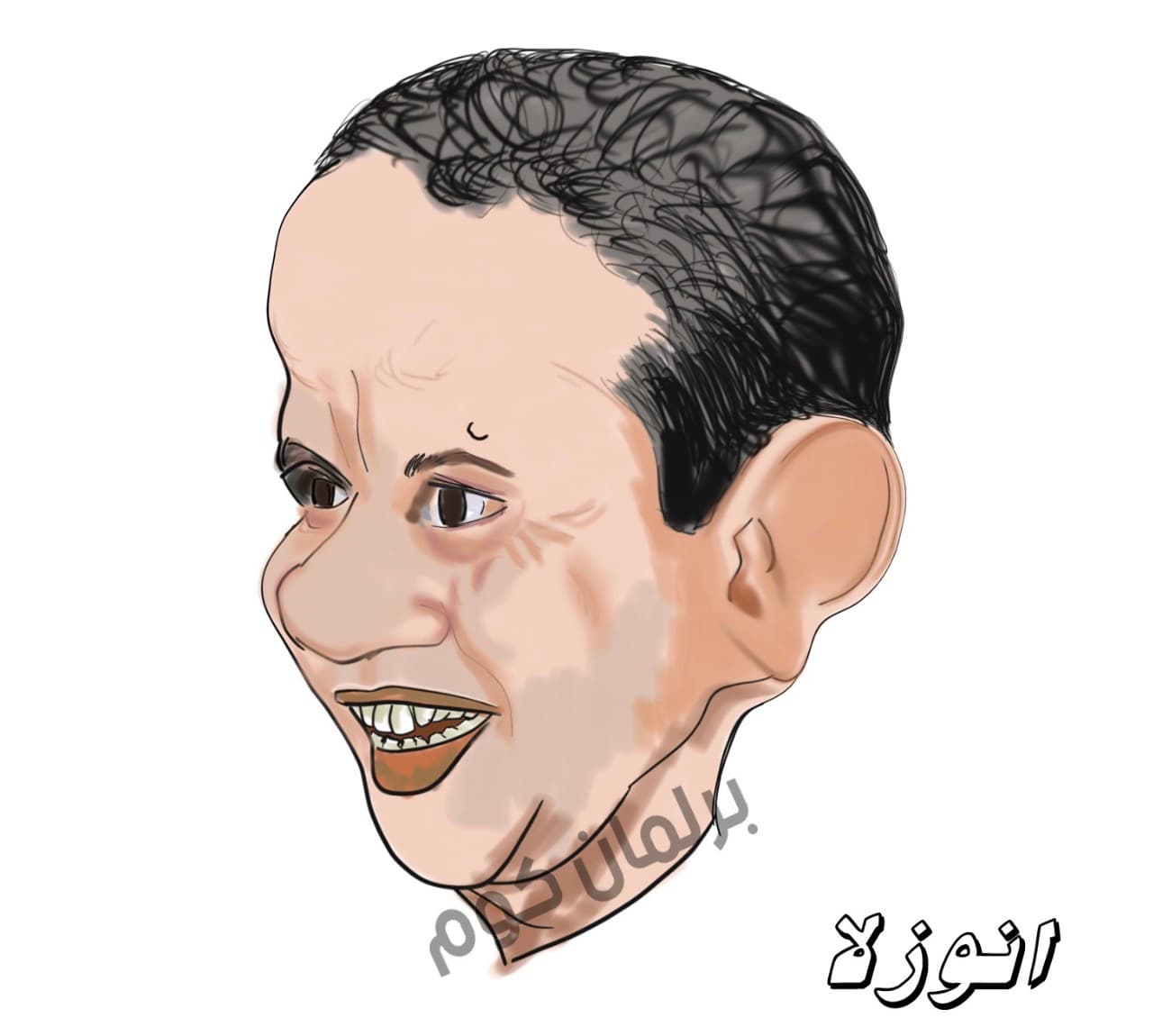 Ali Anouzla's posts show criticism and bias