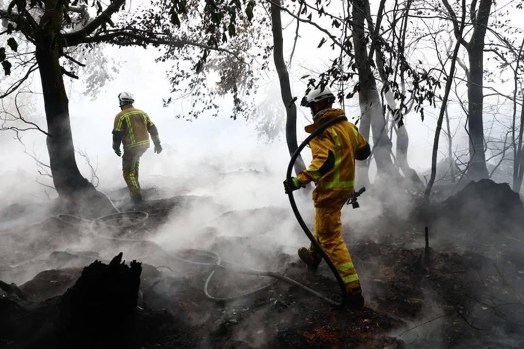 Rain eases Belgium's biggest forest fire
