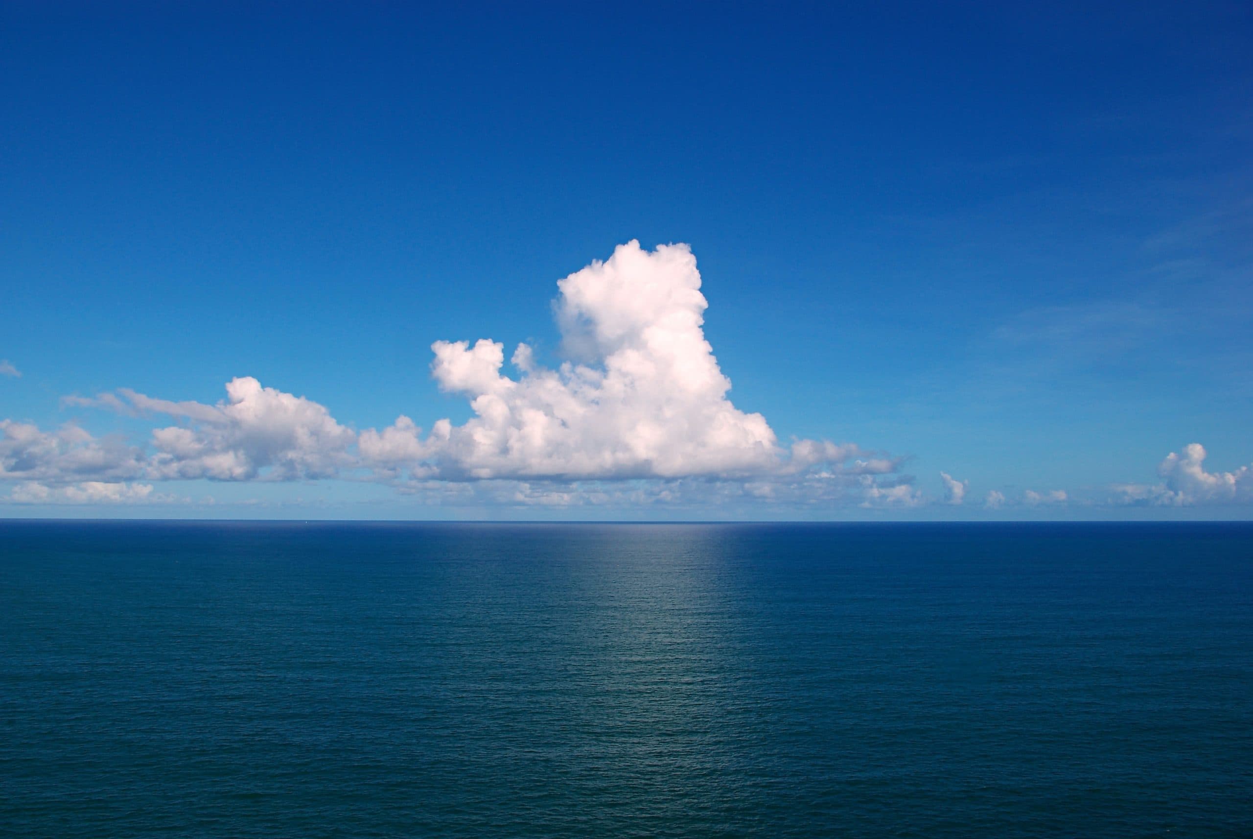 Ocean surface temps hit record high