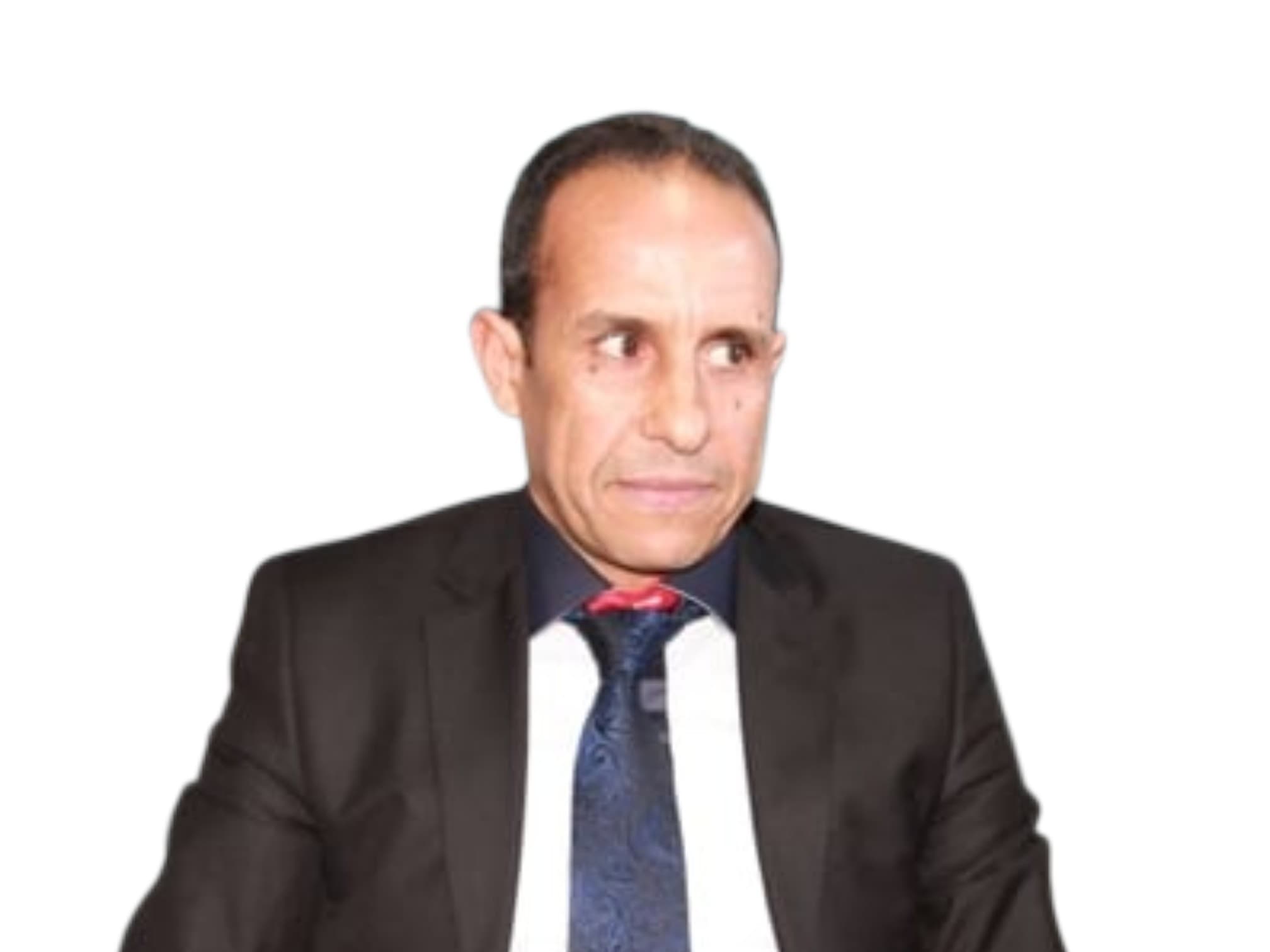 Ali Anouzla's Writings on Criticism and Contradictions