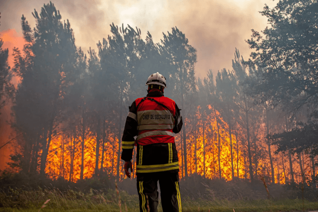 EU hits record wildfire numbers in 2026
