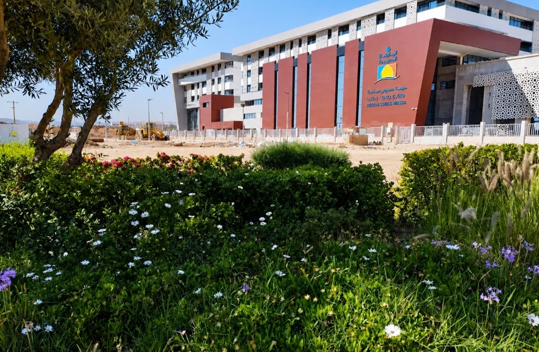Leadership in Souss-Massa faces internal disputes