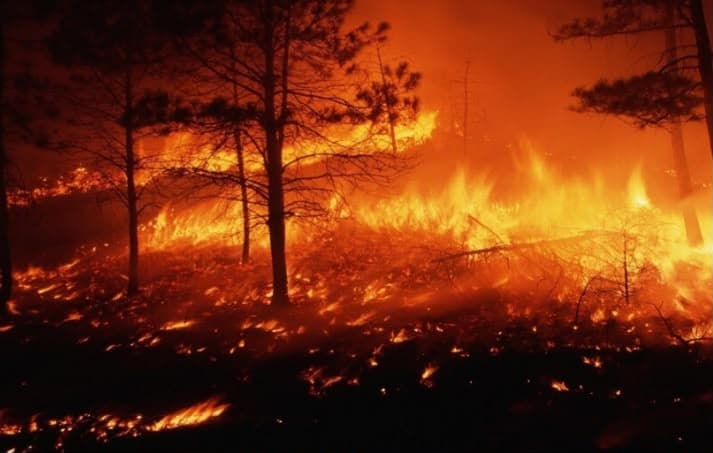 Germany reports ongoing southern wildfires