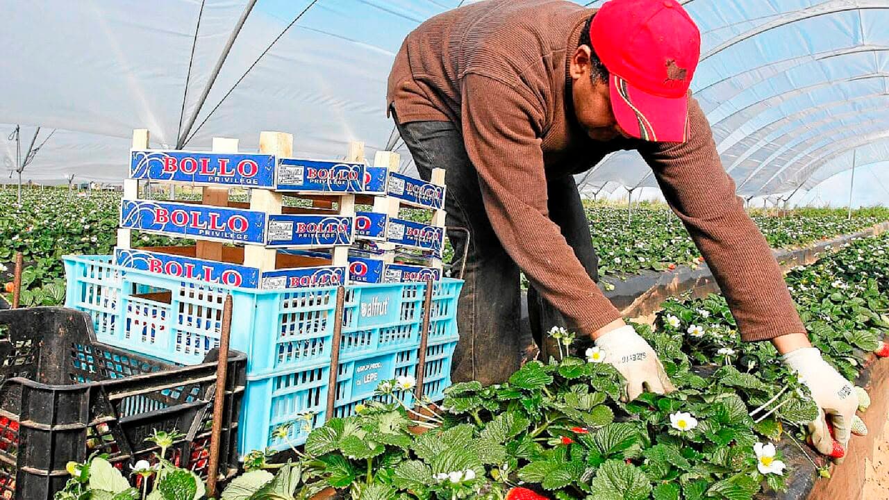 Record Number of Foreign Workers in Spain Led by Moroccans