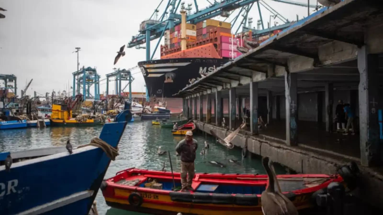 El Niño Impacts Global Economy
