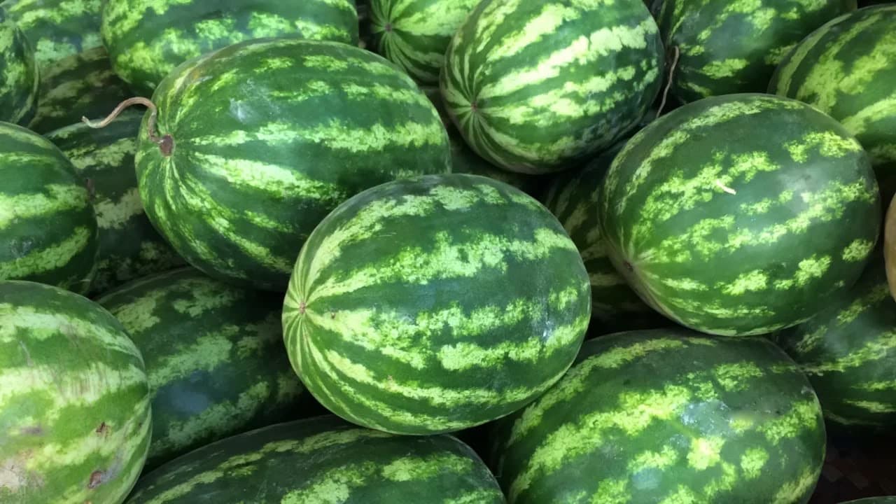 المغرب في المركز السادس عالميا بسوق البطيخ