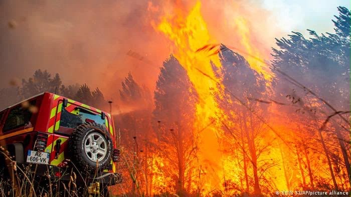 Heatwave raises forest fire risk in Netherlands