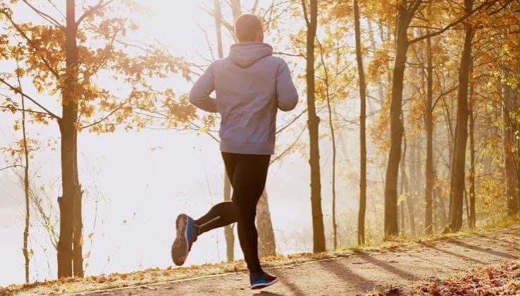 Less activity raises cancer risk