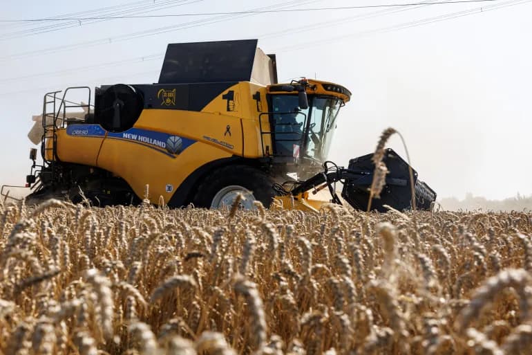 Global food costs at risk from energy and fertilizer issues