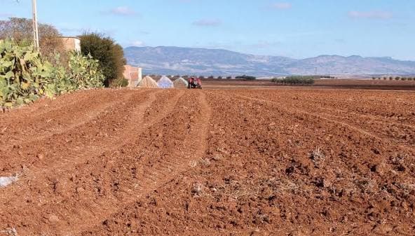 Taroudant land reform farmers face neglect and risks