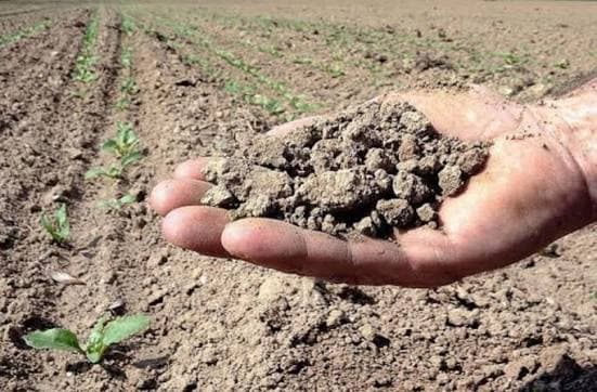 Extreme Weather Impacts Crops