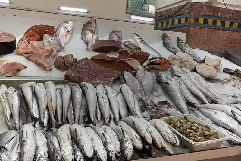 تجار الأسماك يواجهون ركود الصيف