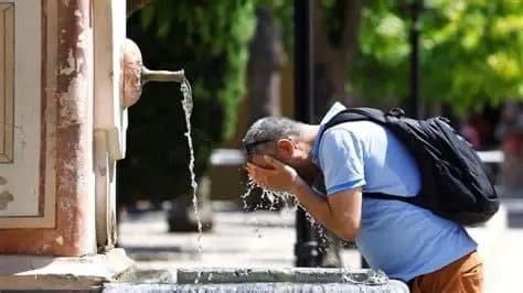 Heatwave heightens wildfire risk in Portugal