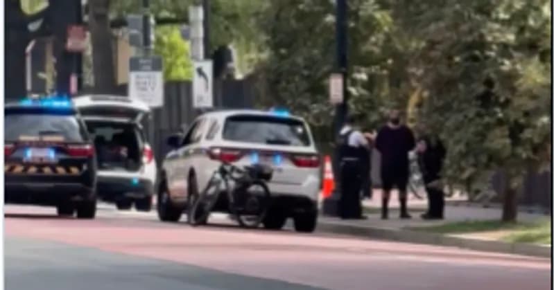 Driver who hit White House sidewalk sought Trump