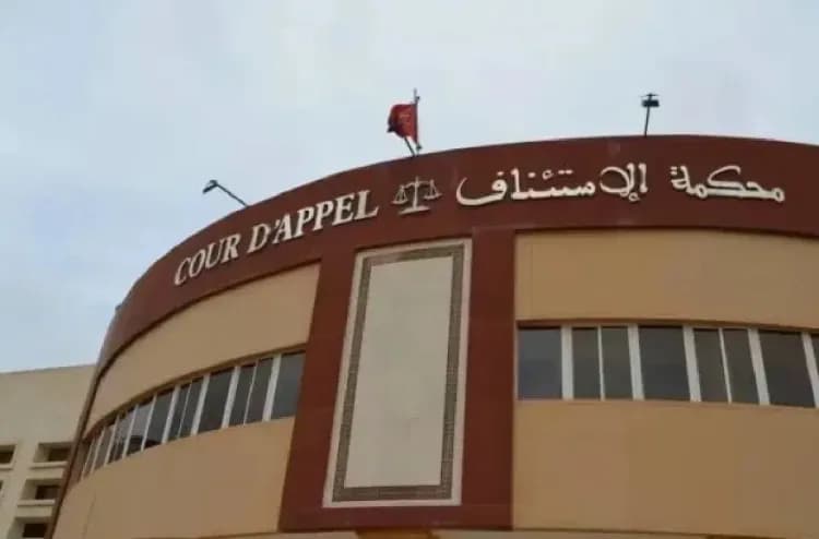 Public Prosecutor Probes Voter Influence Audio
