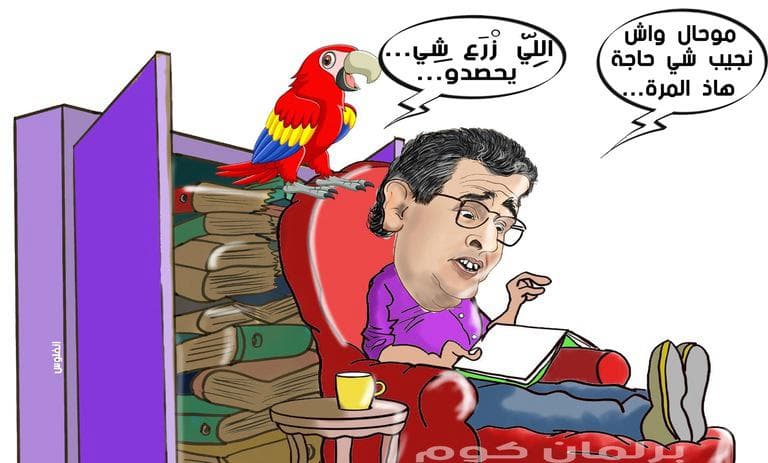 Azeez Akhannouch and Strategic Sectors