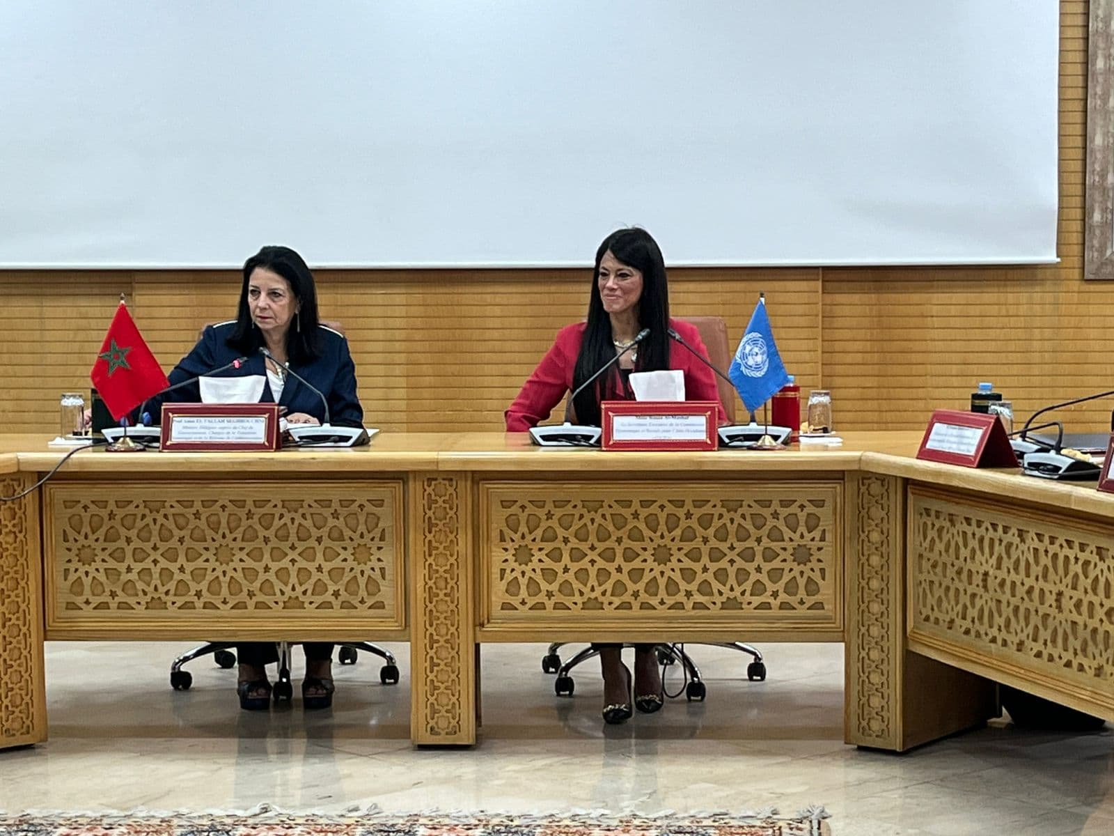 السغروشني تدشن تحديث الإدارة مع الإسكوا