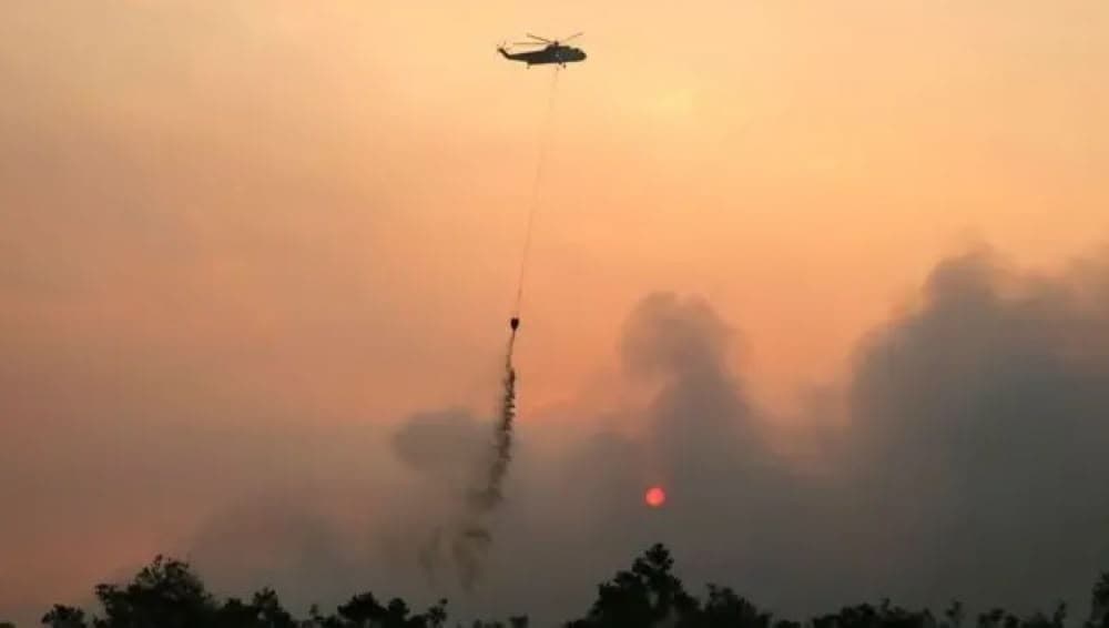 Indonesia boosts efforts to fight forest fires near Nusantara