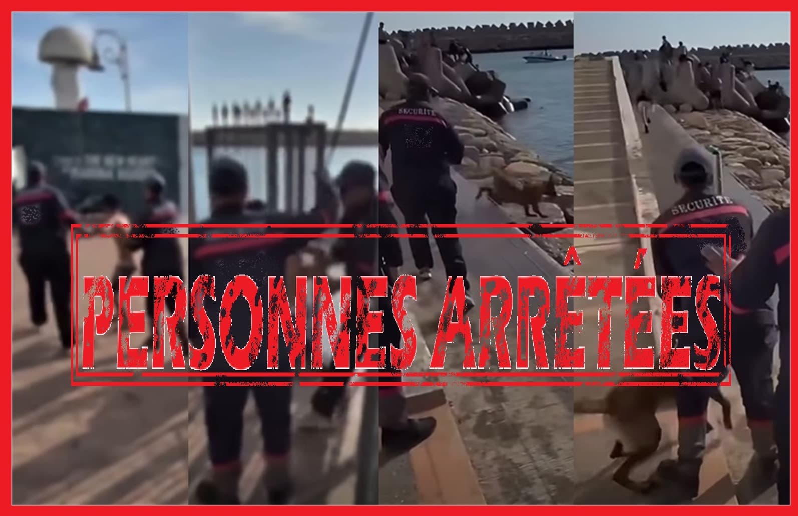 أكادير.. توقيف شخصين بتهمة تعنيف طفل وتحريض كلب