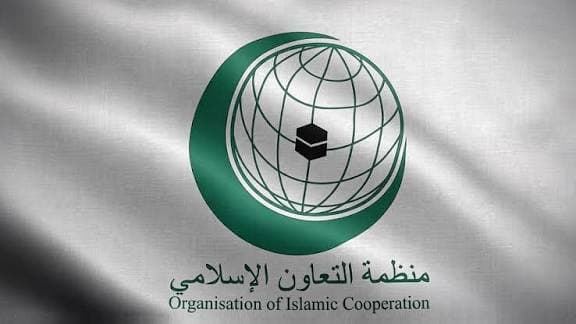 منظمة التعاون تثمن جهود الملك في أفريقيا