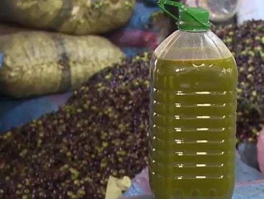 Olive harvest begins, prices expected to stay stable