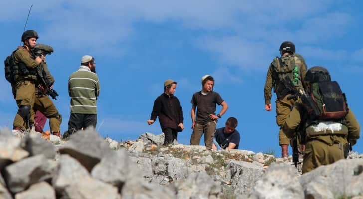 Hill Youth gangs attack olive pickers in Ramallah
