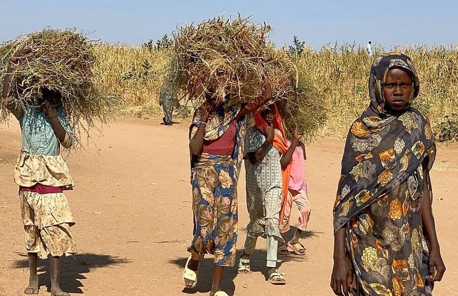 تحذيرات من جفاف غير مسبوق في دارفور