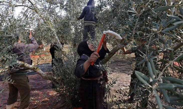 Ghalil protests over land seizure for railway in Jordan