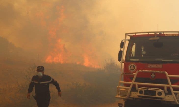 Calls to declare Algerian fire zones as disasters