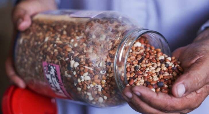 Bodour Al-Qara's Seed Bank Safeguards Gaza's Agriculture