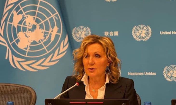 Greece's Security Council presidency and Palestine relations