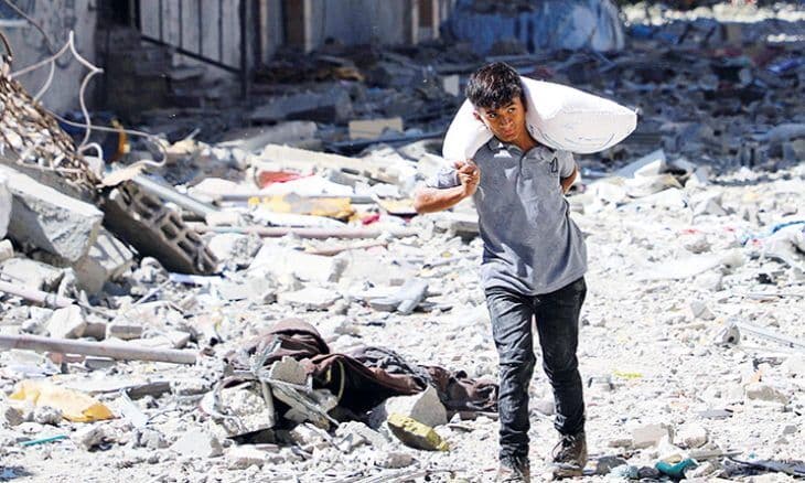 Gaza Flour Supplies Threatened by Pests