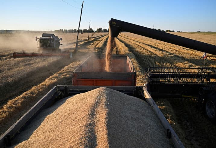 Fertilizer Shortage Threatens Food Security