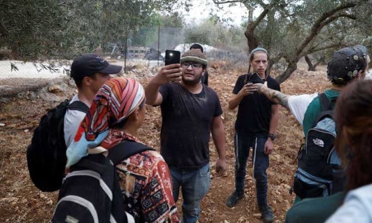 إرهاب المستوطنين يهدد موسم الزيتون في الطيبة