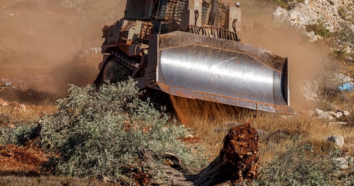 Settler Attacks on West Bank Harvesters