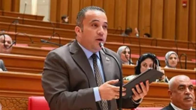 هاني شحاتة يوضح مضمون رسالة السيسي حول اليمن والسعودية