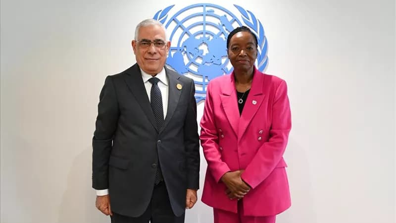 UNODC chief praises Egypt's crime fight